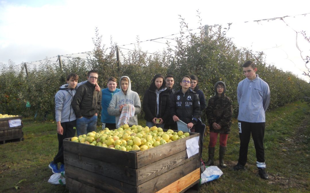 Jus de pomme en scène