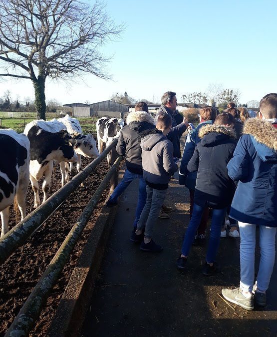 Visite de la ferme des Trinottières