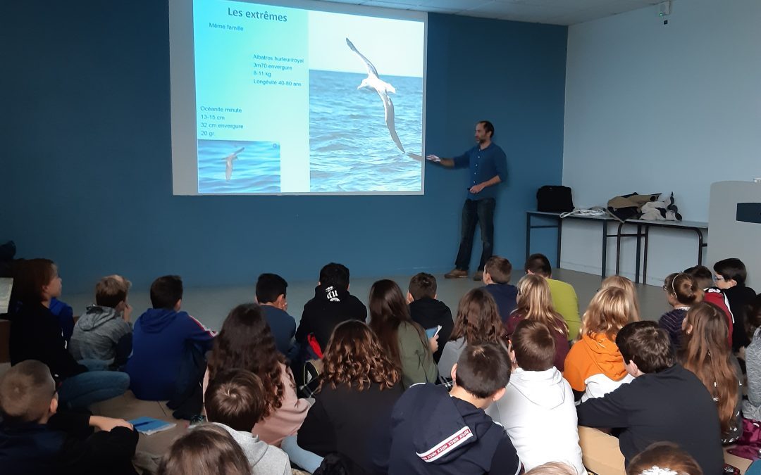 Rencontre avec un ornithologue