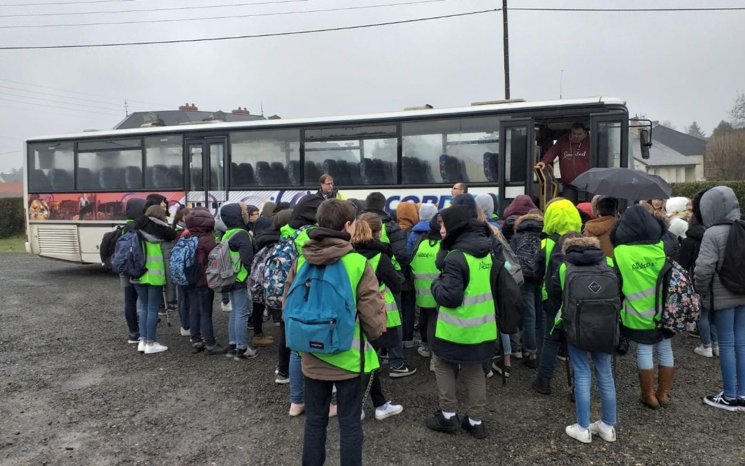 Sécurité routière